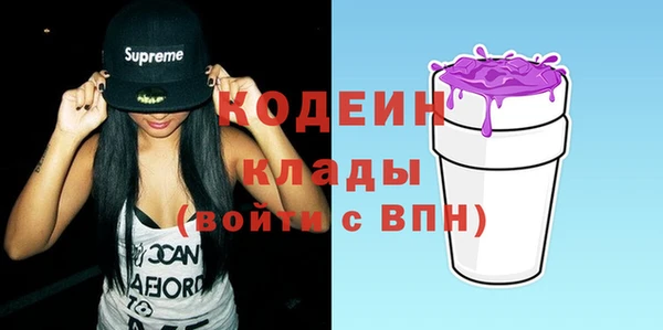 соль ск Бикин