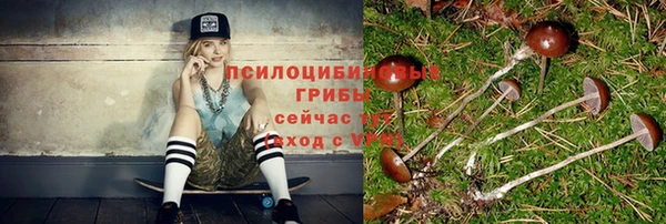 соль ск Бикин